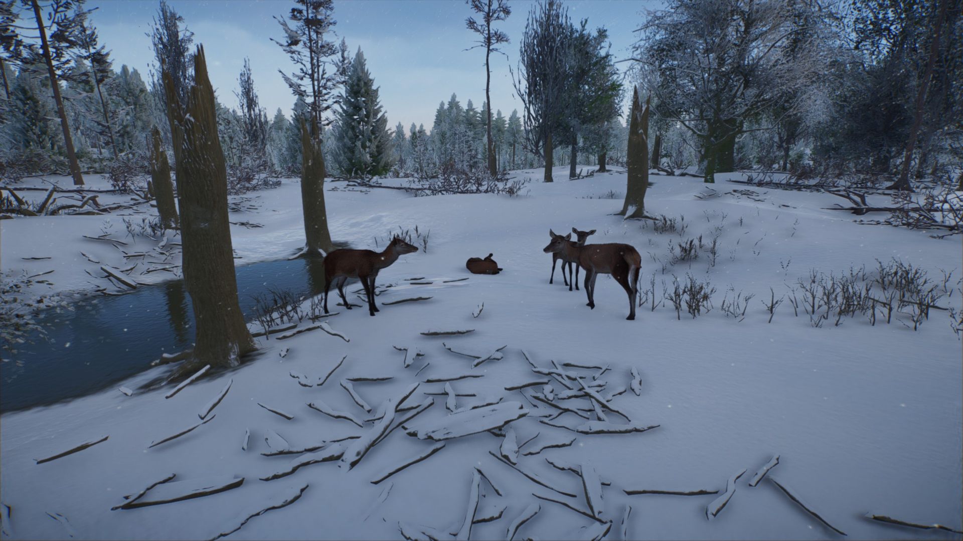 Planet Zoo 2 review