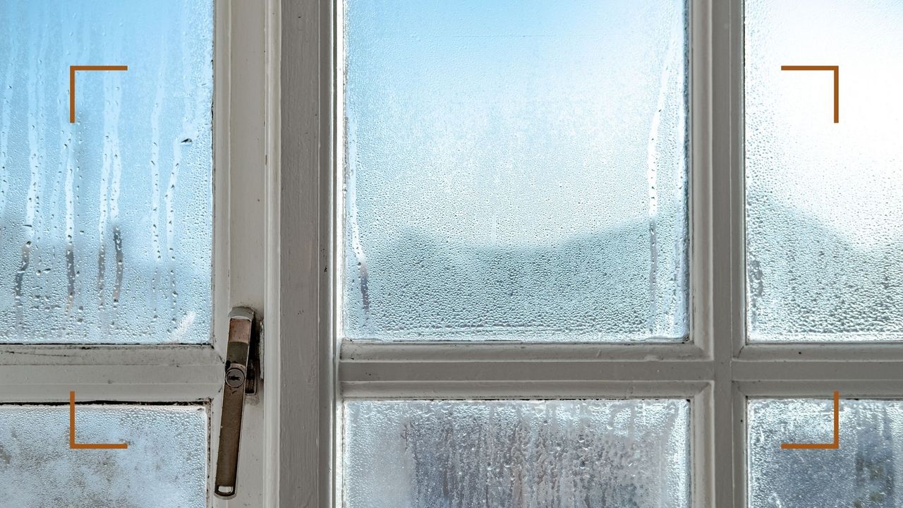 Original wooden windows showing condensation to support a guide on how to prevent condensation on windows