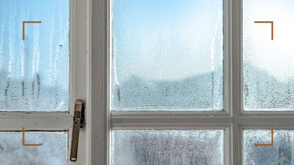 Original wooden windows showing condensation to support a guide on how to prevent condensation on windows