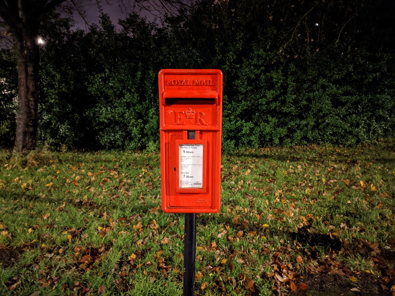 Google Pixel 4a 5G camera sample
