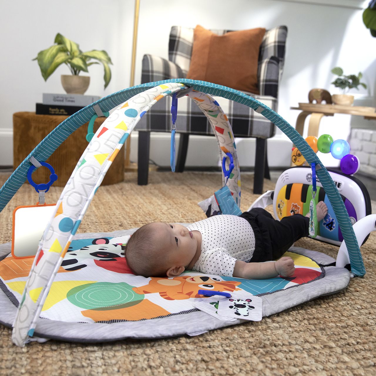 Baby Einstein Baby Gym