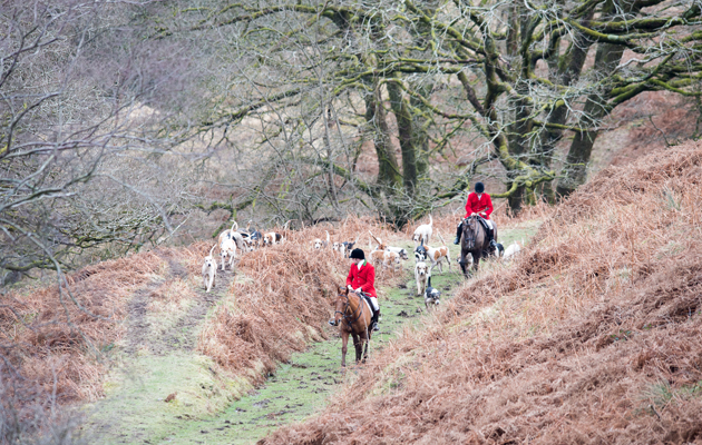 Langeinor Pentyrch Hunt 25 02 2015