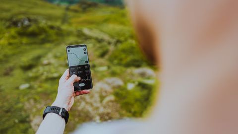 Hiker looking AllTrails on their phone