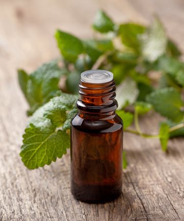 Using peppermint oil to get rid of mice: the organic way | Homes & Gardens