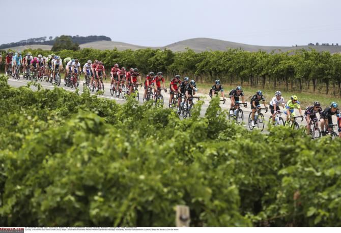 The riders started in the Barossa wine region today