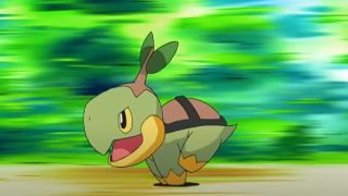 Turtwig in Pokemon.