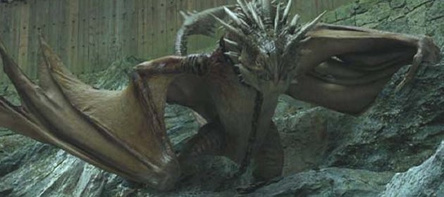 Harry Potter And The Goblet Of Fire (2005)