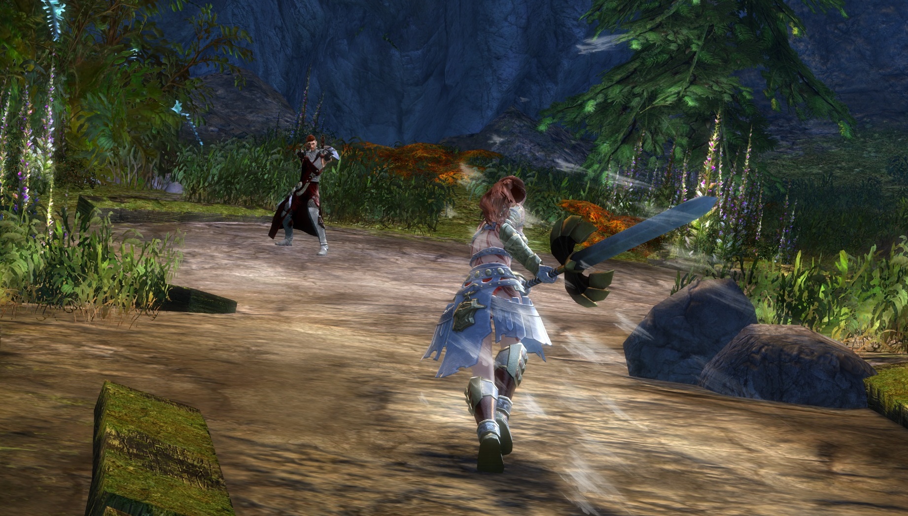 Guild Wars 2