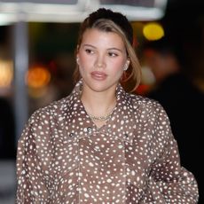 Sofia Richie wears a brown animal print jacket and has a blonde streak in her hair, which she wears tied back