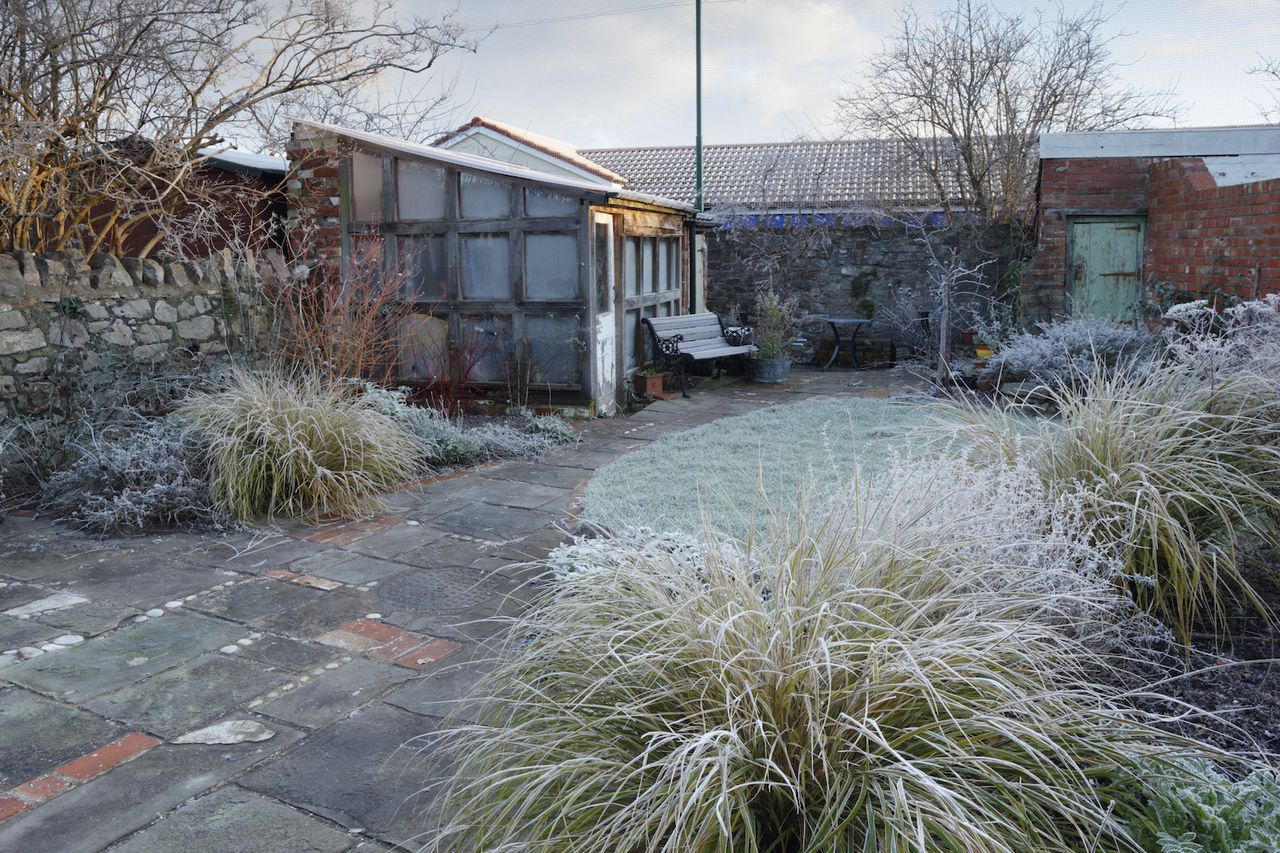 When should I winterize my lawn? Livingetc