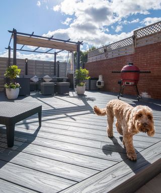 Grey reversible composite decking in backyard with dog, pergola and garden furniture