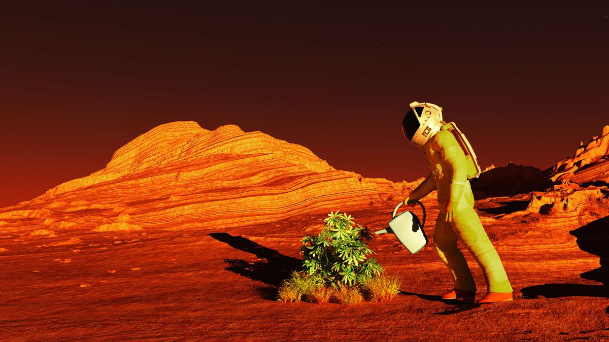 How to Grow Crops on Mars If We Are to Live on the Red Planet | Space