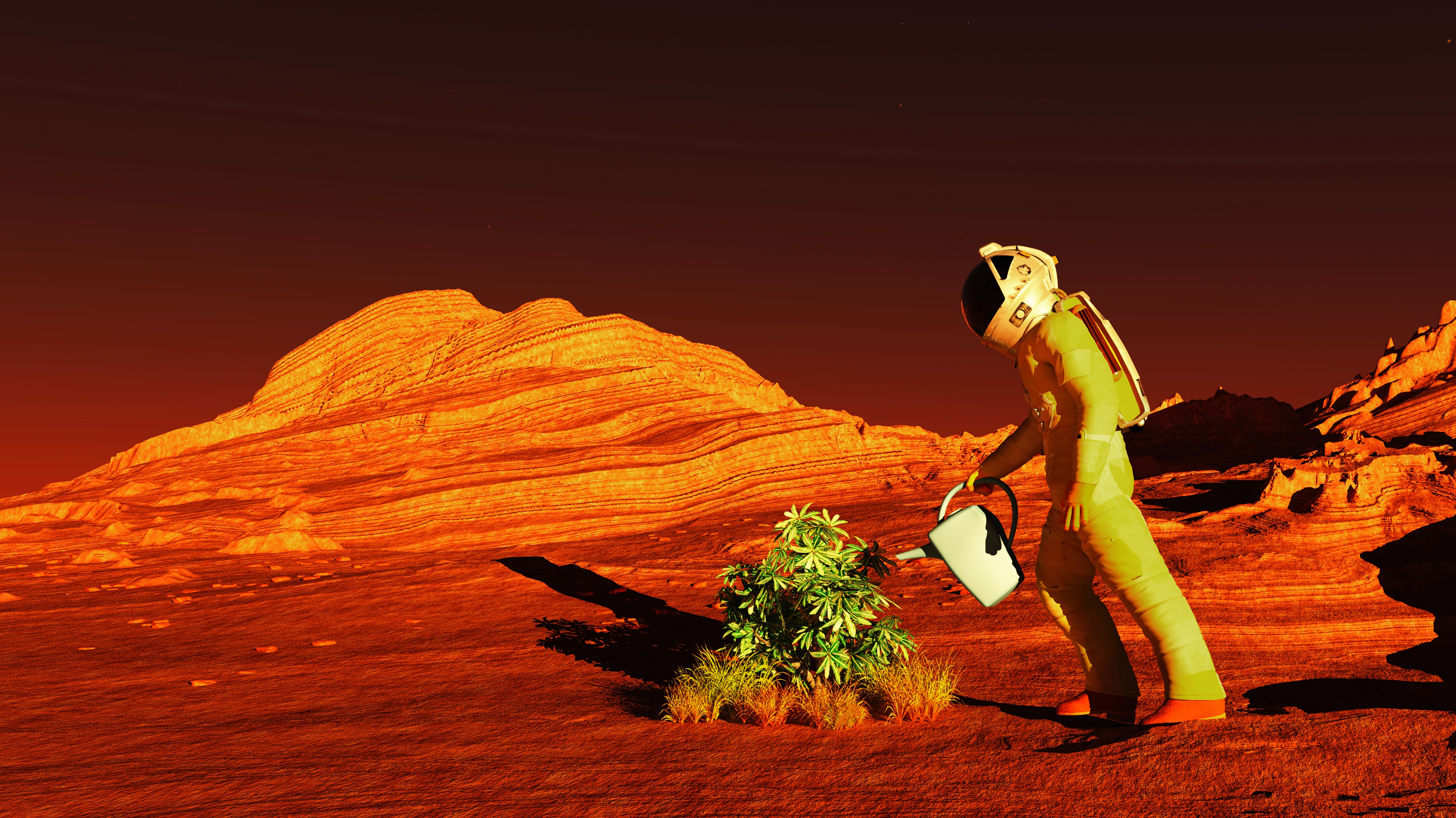 Gardening on Mars