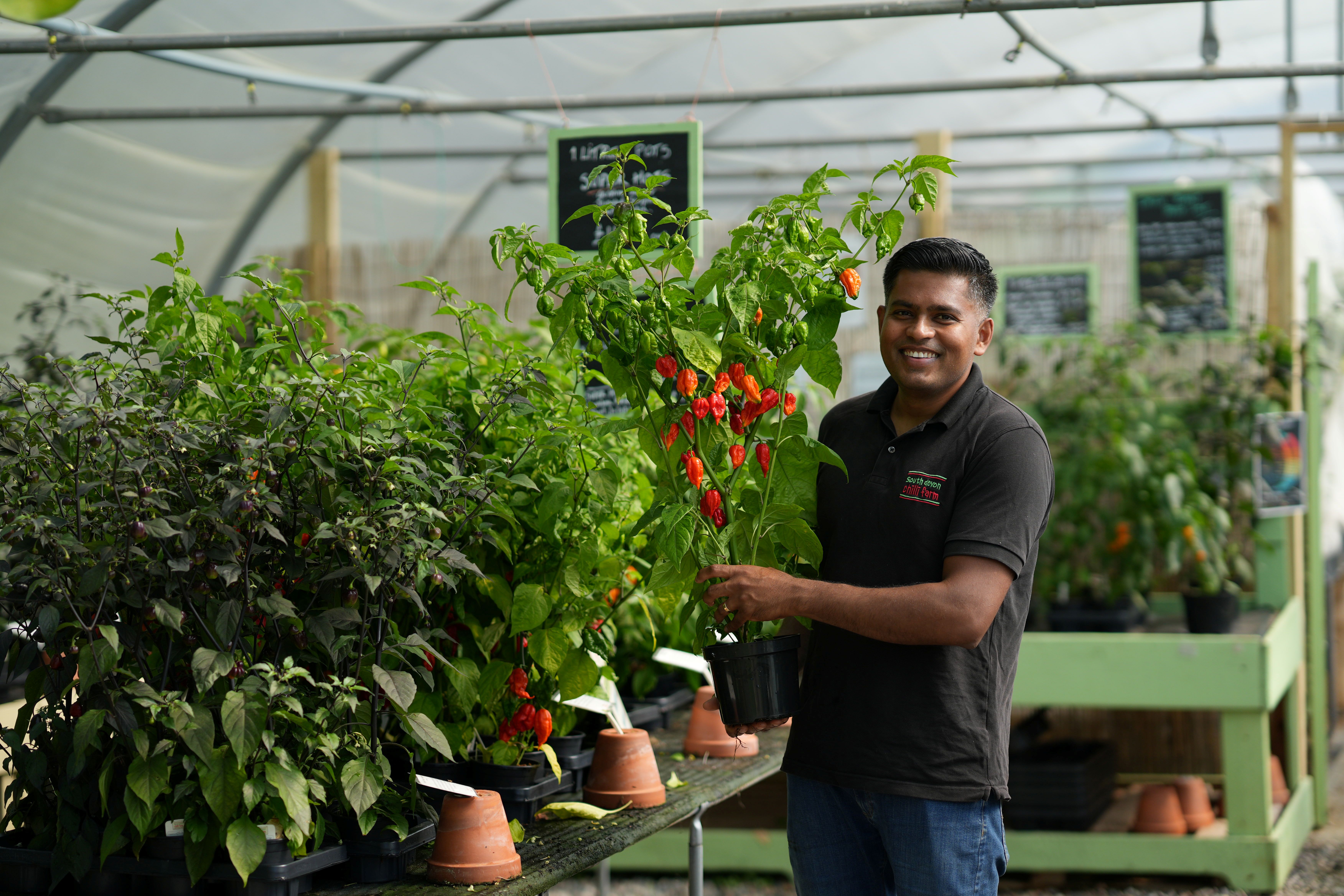 Person with chillis