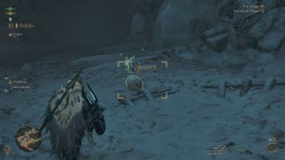 Monster Hunter Wilds - Finding a Rime Beetle scurrying along the ground in a cave.