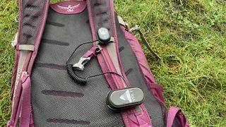 The Vango Volt headlamp clipped to the shoulder strap of a purple daypack