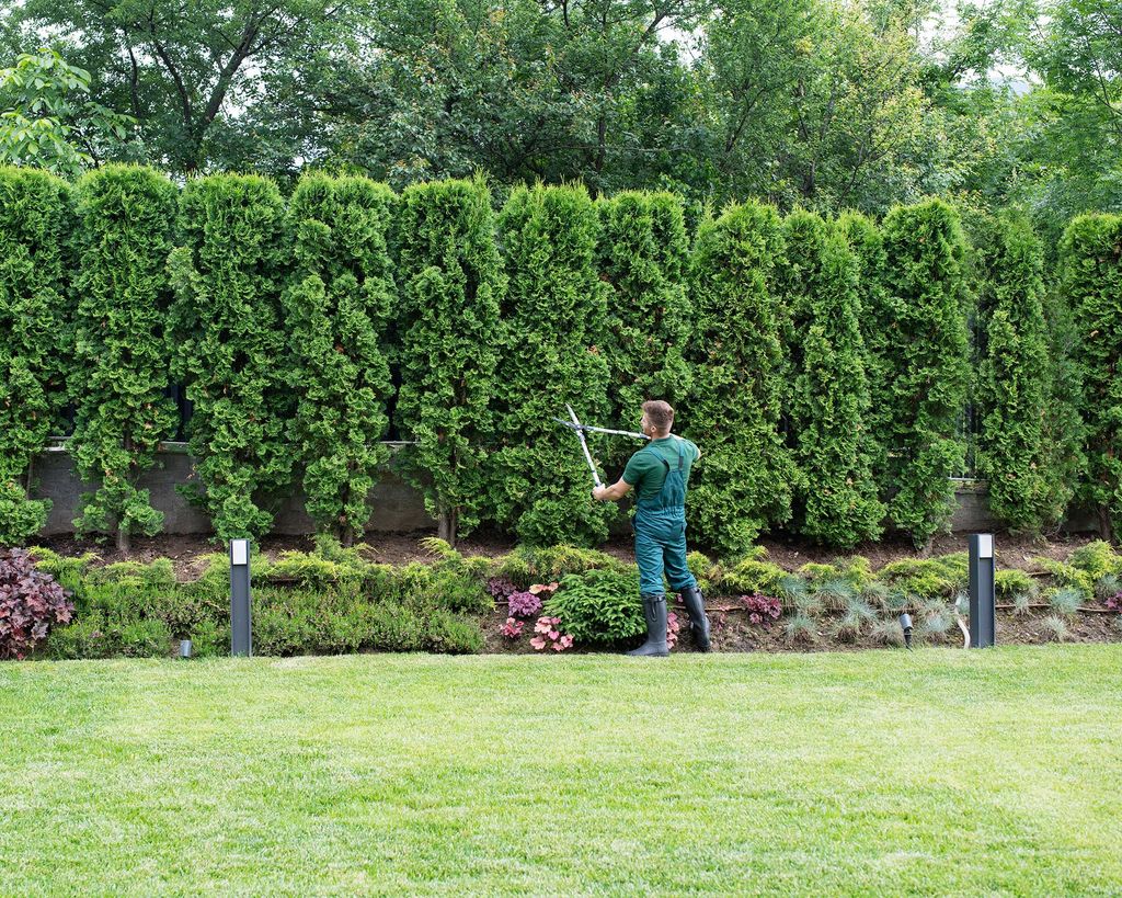 How to sharpen garden shears in 7 easy steps Gardeningetc