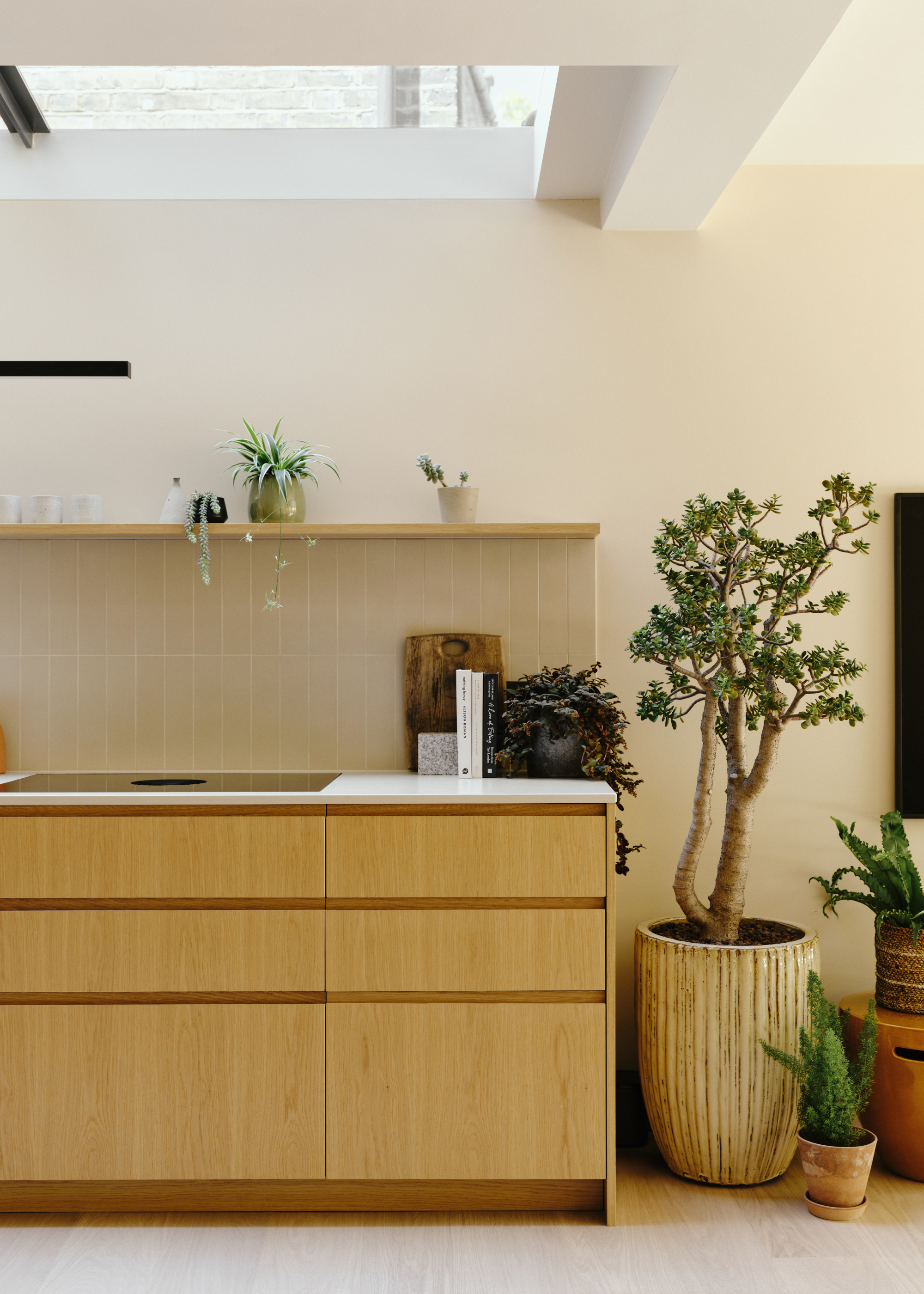 light wooden cabinetry in a modern kitchen with lots of plants and a big sunroof