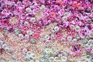 pink ombre flower wall