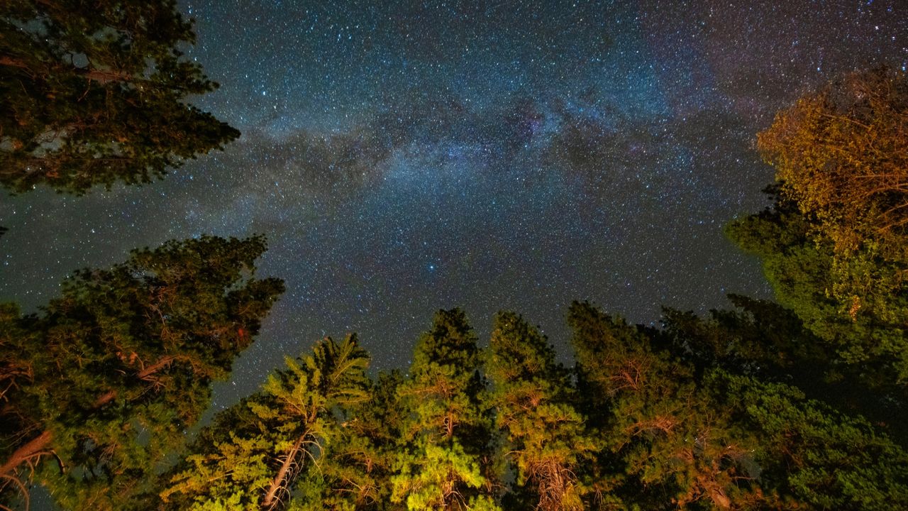 Light pollution may be erasing millions of dollars in value at US dark-sky parks