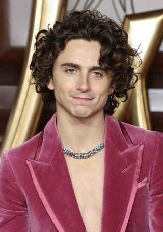 Timothée Chalamet in Cartier's custom Candy Necklace for "Wonka" Premiere