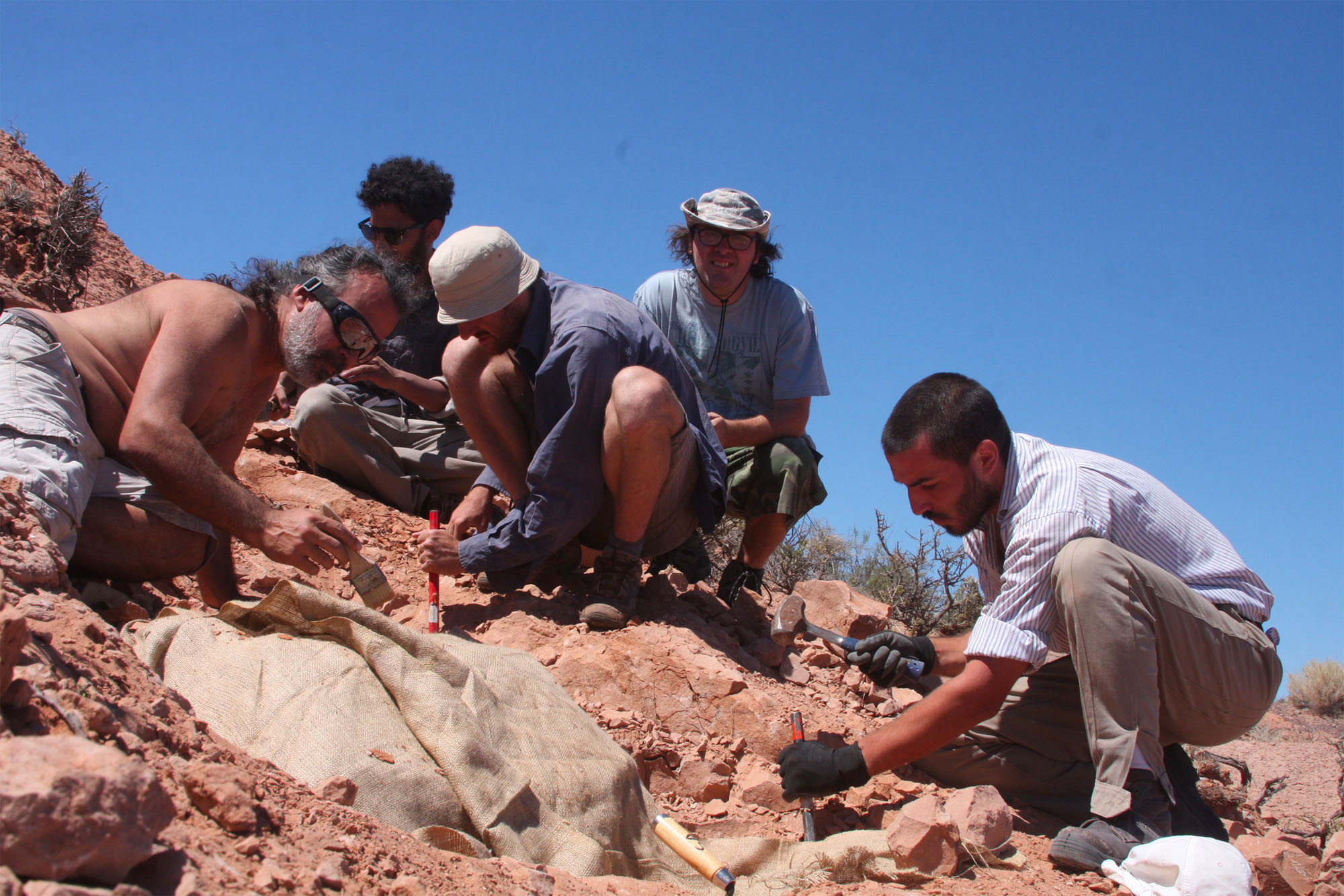 The scientists in the process of removing sediment in order to extract fossils contained in the rock at La Buitrera.