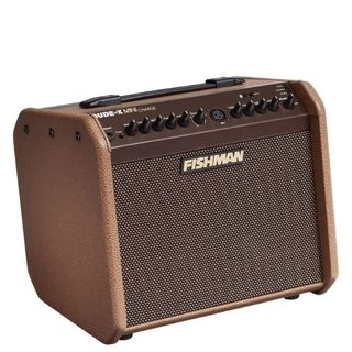Best acoustic guitar amps: Fishman Loudbox Mini Charge