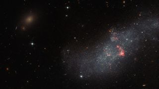 A dwarf galaxy known as UGCA 307 seen by the Hubble Space Telescope.