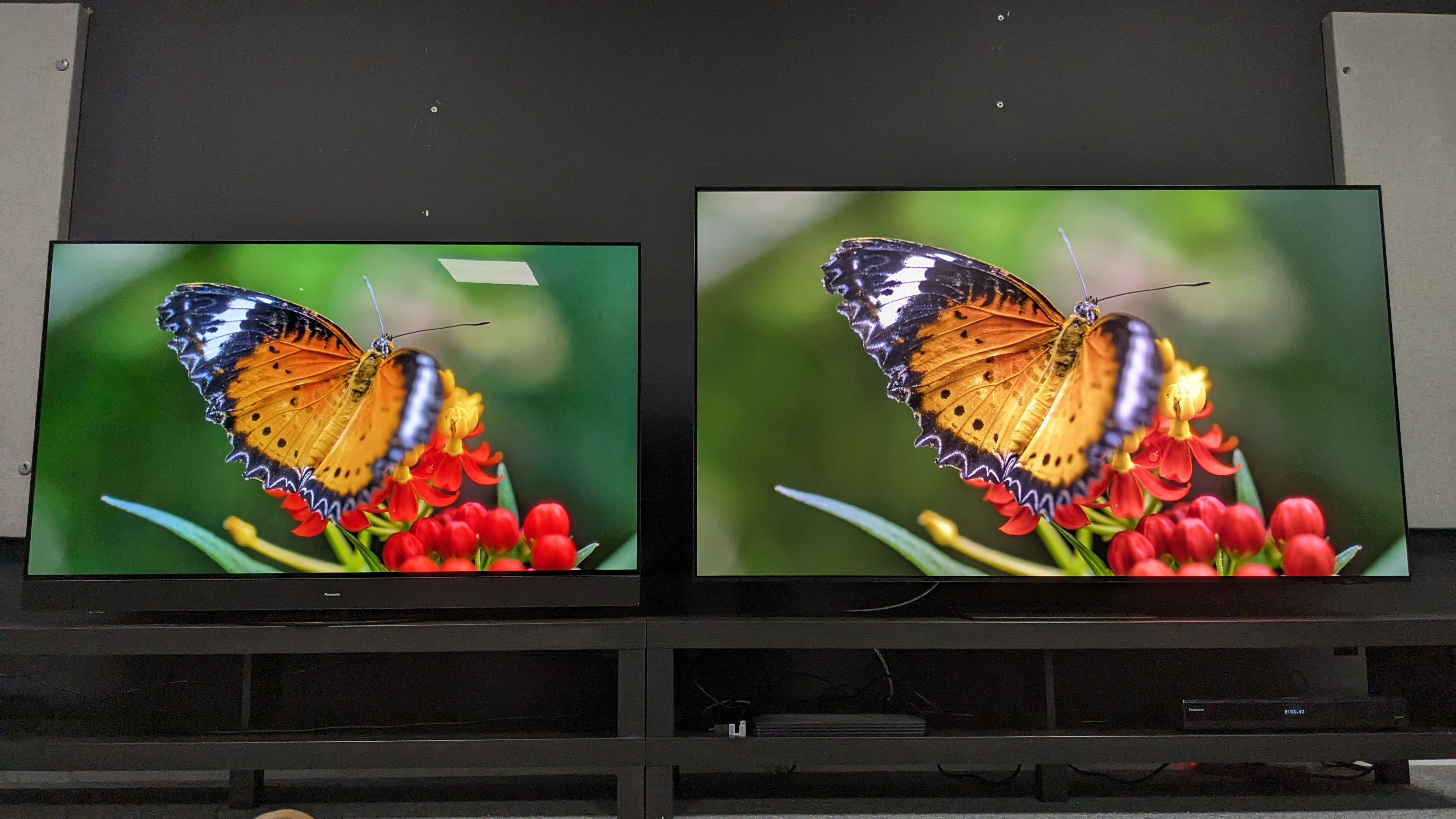 Samsung S95D and Panasonic MZ1500 with butterfly on screen