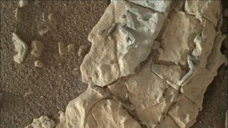 small crystal structure on Mars were mistaken for animal tracks