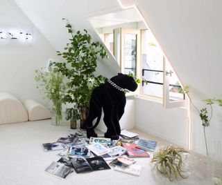Plants, magazines and a fake panther inside fragrance laboratory