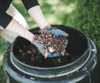 Homemade compost in a composter