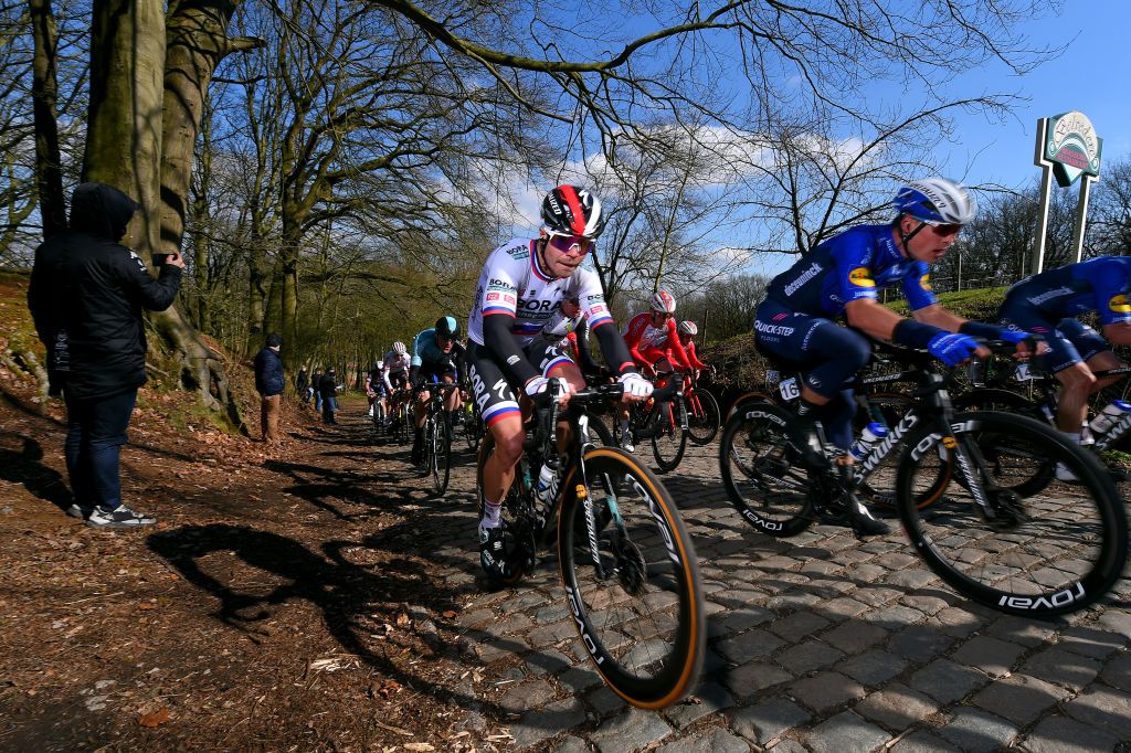 KOKSIJDE BELGIUM MARCH 19 Juraj Sagan of Slovakia and Team Bora Hansgrohe Stijn Steels of Belgium and Team Deceuninck QuickStep during the 19th Bredene Koksijde Classic 2021 a 199km race from Bredene to Koksijde Cobblestones Kemmelberg BredeneKoksijde on March 19 2021 in Koksijde Belgium Photo by Luc ClaessenGetty Images