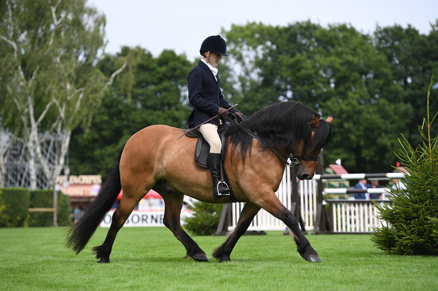 HorseNo1506_RIHS_PN22_30103