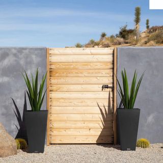 Two tall planters either side of a wooden gate