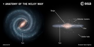 a spiral galaxy seen top-down and edge-on