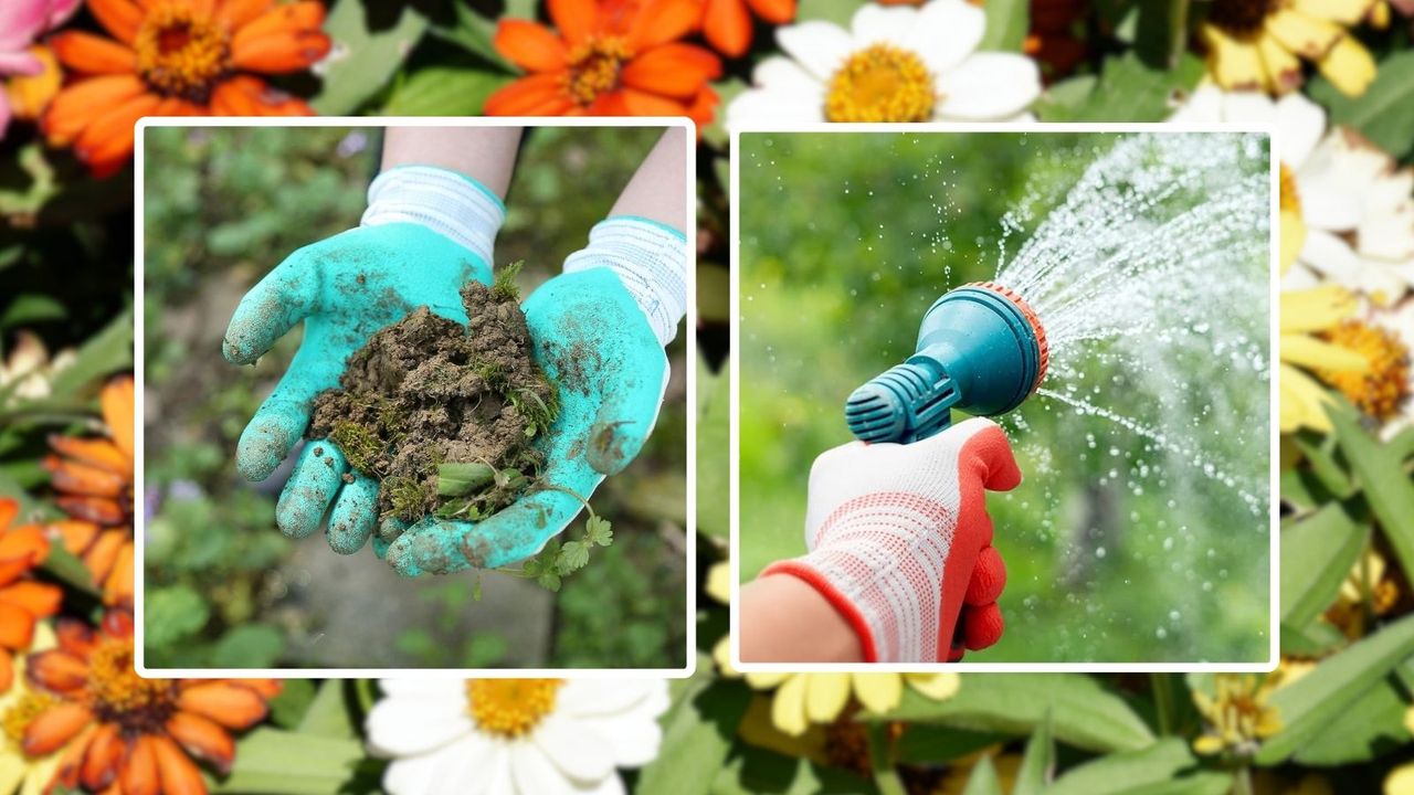 CoolJob gardener&#039;s gloves in aqua holding dirt and in red spraying water from a hose on a floral blurry background