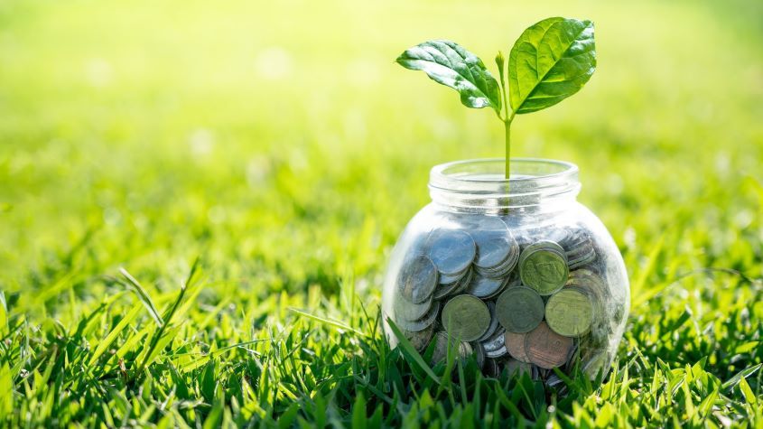 Plant growing from coins inside a glass jar