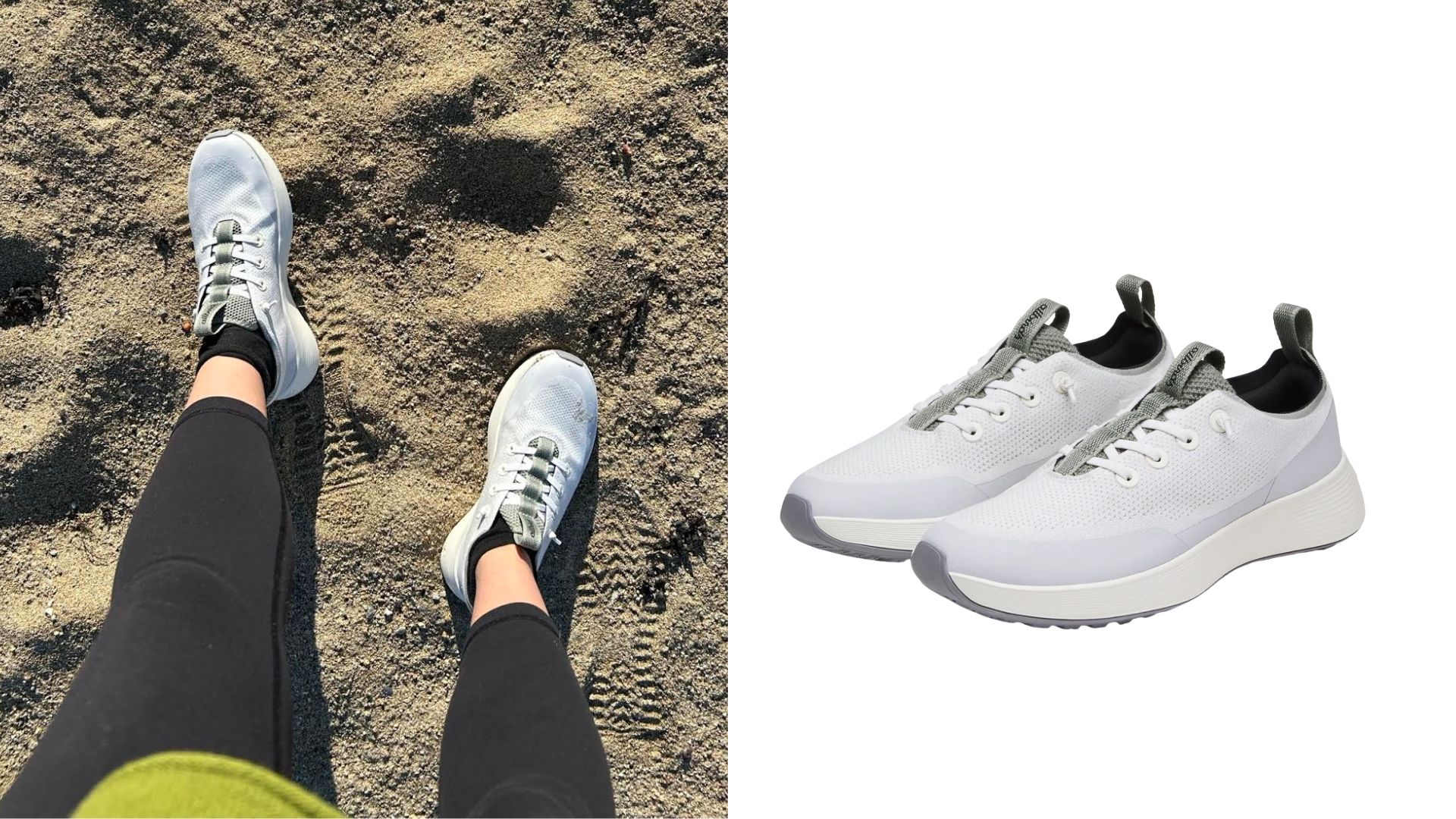 Images of Allbirds trainers