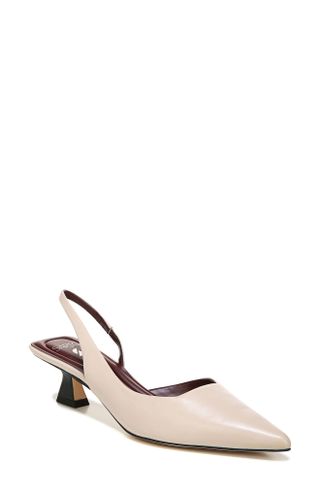chunky kitten heels with a pointed toe