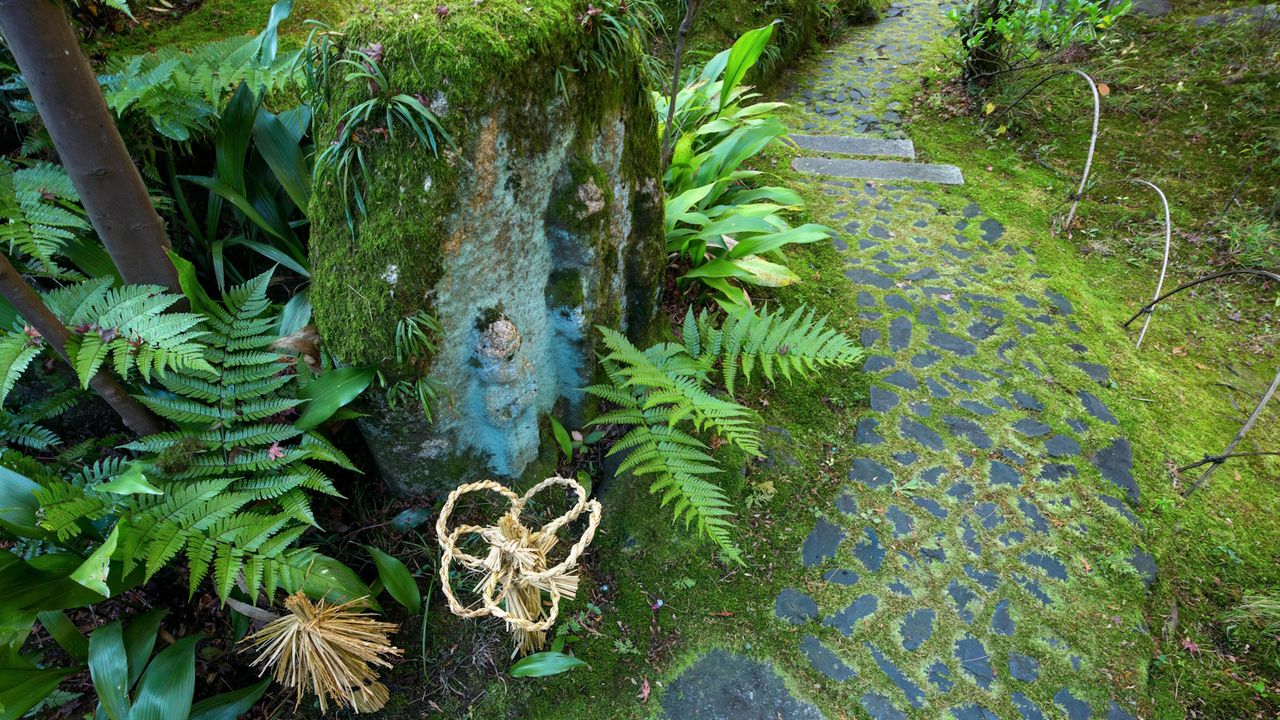 Lush green fairy garden with green moss on the path