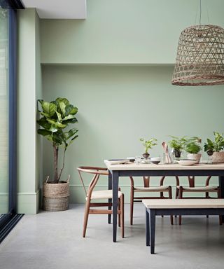 Dining room painted a light green shade, dining table with light wooden tabletop and black metal frame, matching bench, carl hansen wishbone chair at head of table, textured, basket style pendant light over dining table in natural finish, gray concrete style flooring, plant in basket in corner of room