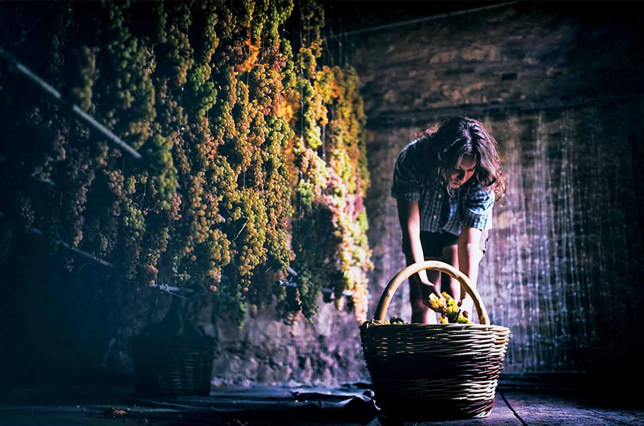 Traditional winemaking methods in Soave