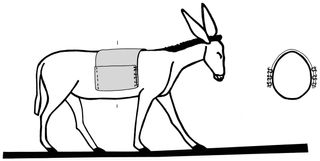 reconstruction of donkey with saddlebags
