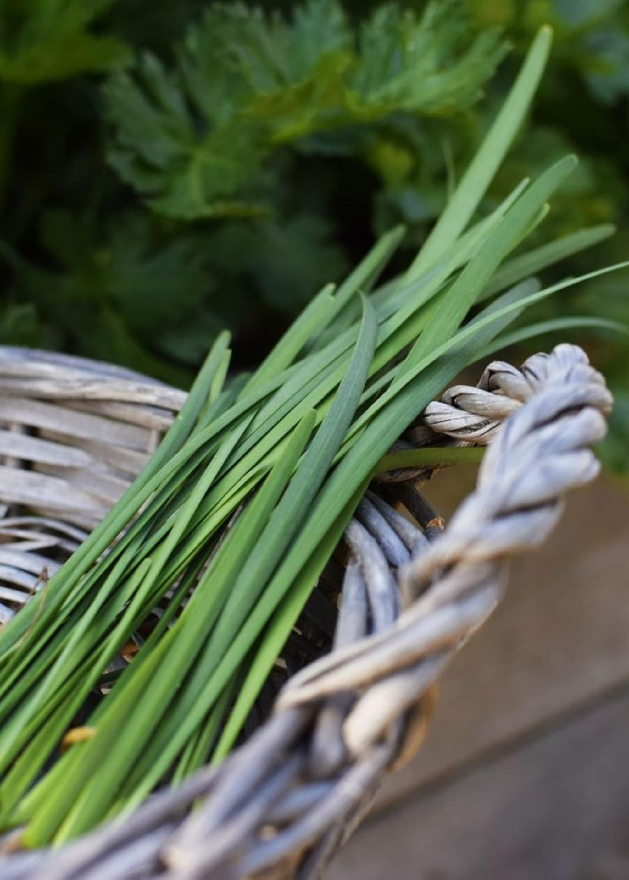 A woven basket with chives