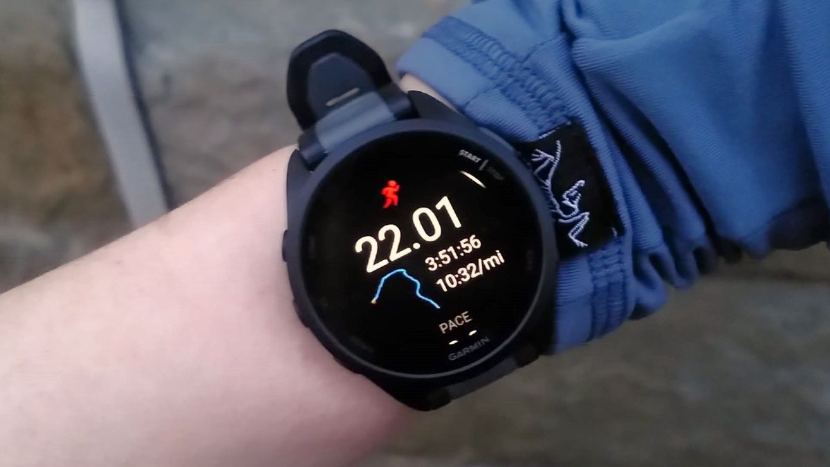 Garmin Forerunner 165 review: a bright and beautiful beginner's running ...