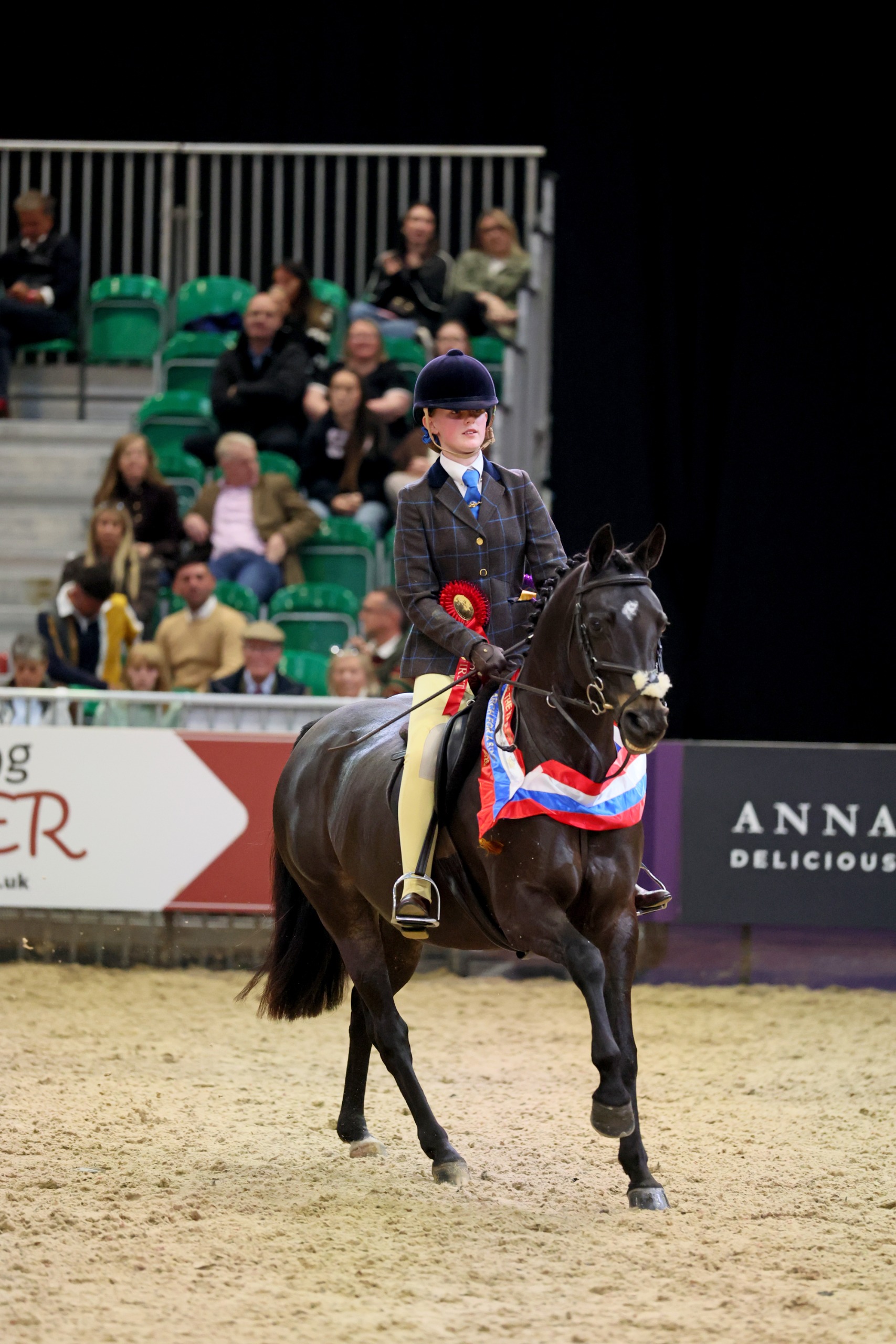 Evelyn Tuck riding her own Pitch Supreme canter round the arena at HOYS 2026 with a winner's sash around the pony's neck