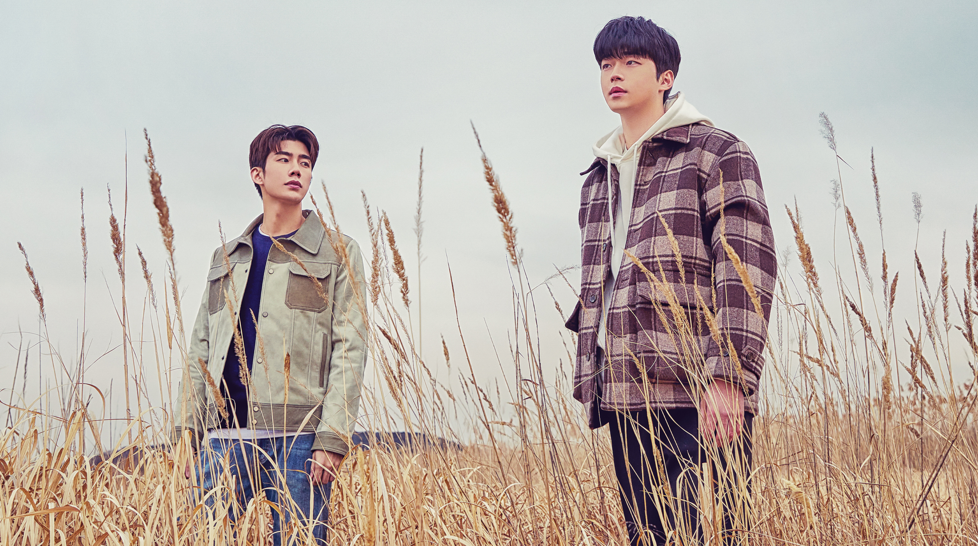 two men stand in a field of tall grasses with a gray sky in a still from the bl kdrama to my star