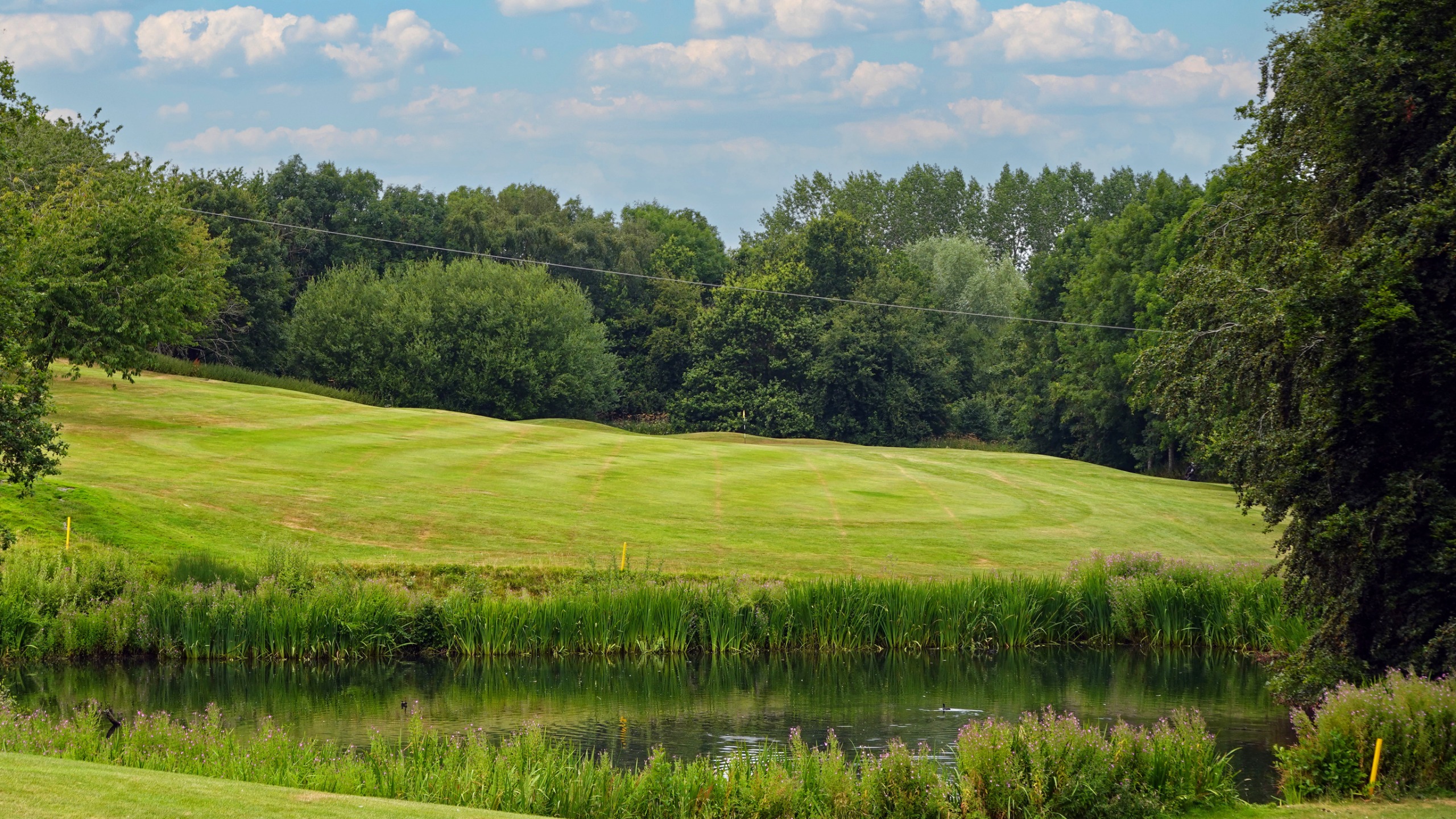 Ashbourne - Hole 12