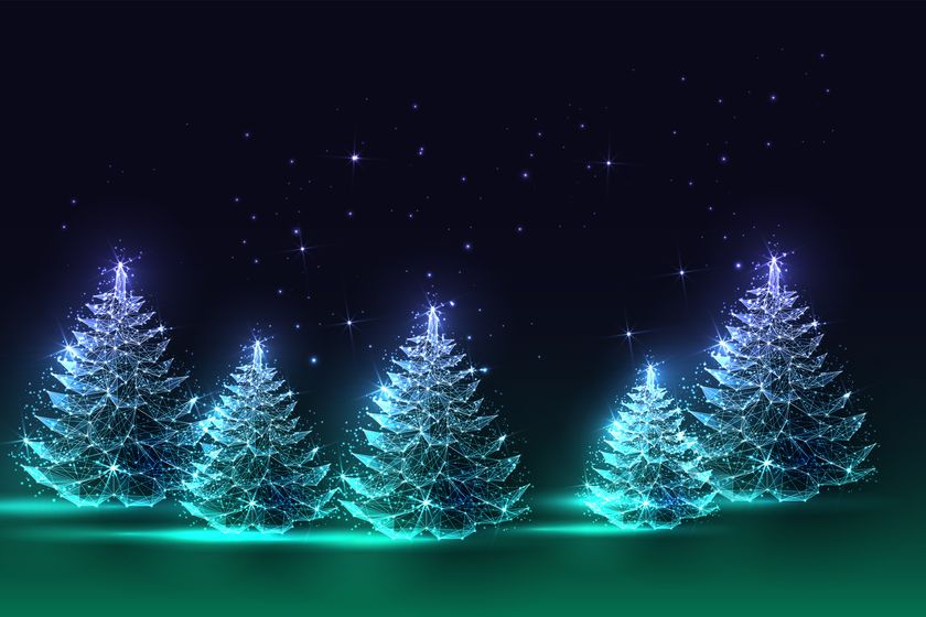 Abstract winter forest design with glowing pine trees on dark starry background